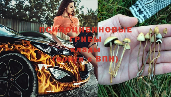 MESCALINE Новозыбков